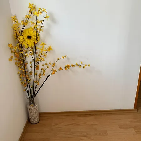 Markus Apartment Trogir